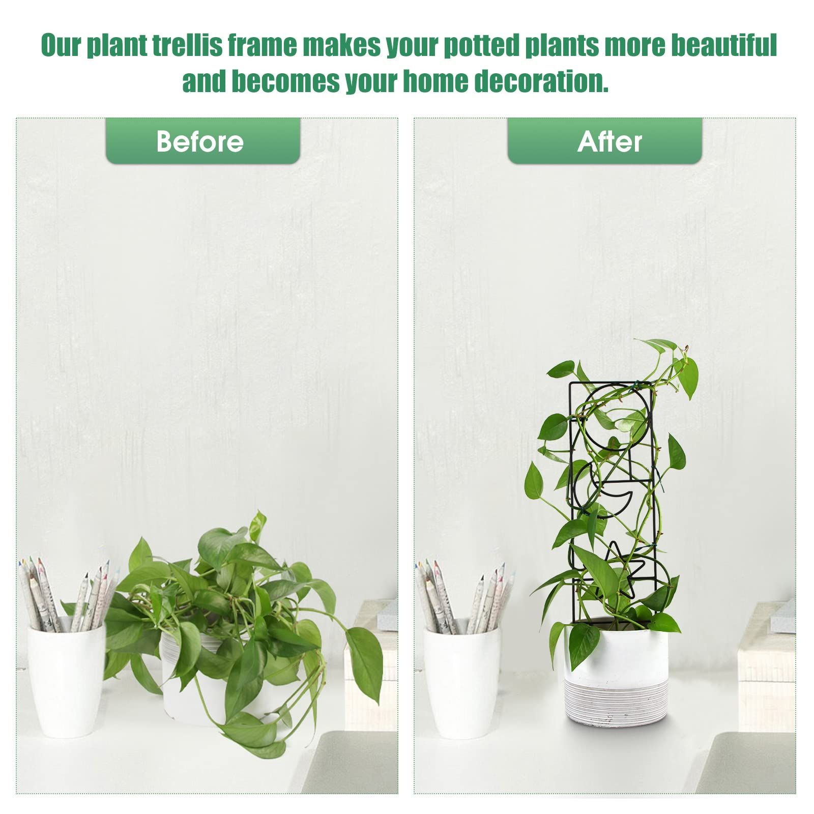Plant Trellis for Climbing Plants Indoor, 15.94Inch Small Garden Metal Houseplant Trellis for Potted Plants Outdoor 4 Patterns — image 5