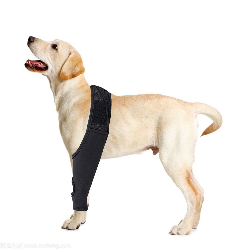 Dog Injured Leg Cover Pet Injury Leg Dog Leg Sleeves Paw Dogs Lick Safe Puppy Knee Dog Bandages for Wounds Knee Pads M โ image 2