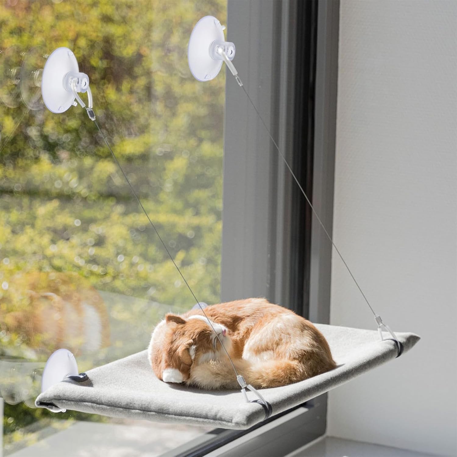 4 PCS Window Perch Suction Cup Large Replacement Clear PVC Sucker Pads Powerful Suction Cups for Cat Window Bed Seat Hammocks — image 4
