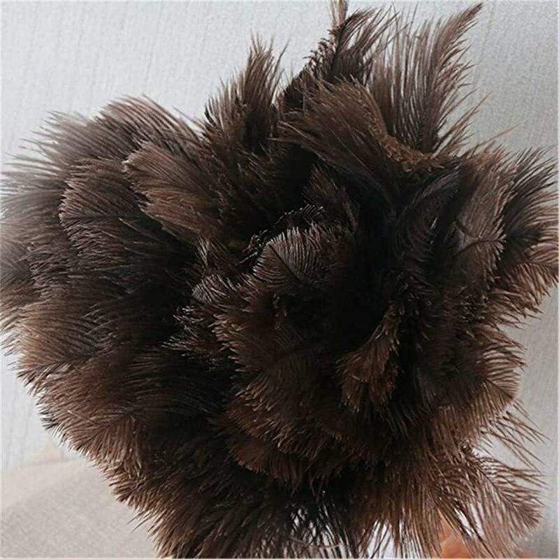 Feather Dusters for Home and Office — image 3