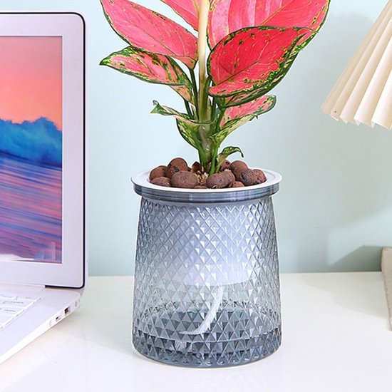 Flower pots - Plastic flower pots - sustainable garden supplies - hydroponic flower pots - visible water level - With absorbent cotton rope - Ø 10 x H 12 cm — image 4