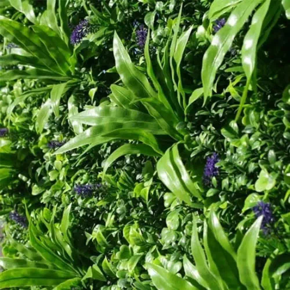 Lavandula Vertical Garden / Green Wall UV Resistant SAMPLE โ image 4
