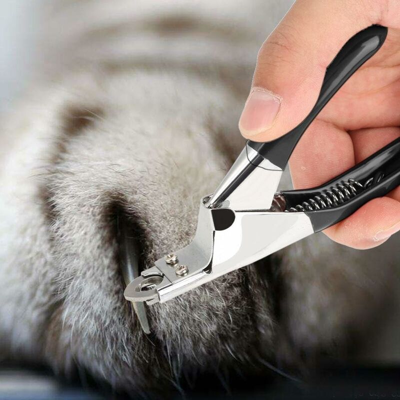 Pet Nail Clippers & Trimmers Cat Dog Nail Clippers Pet Grooming Tool Dedicated Pet Nail Scissors For Grooming Cats โ image 4