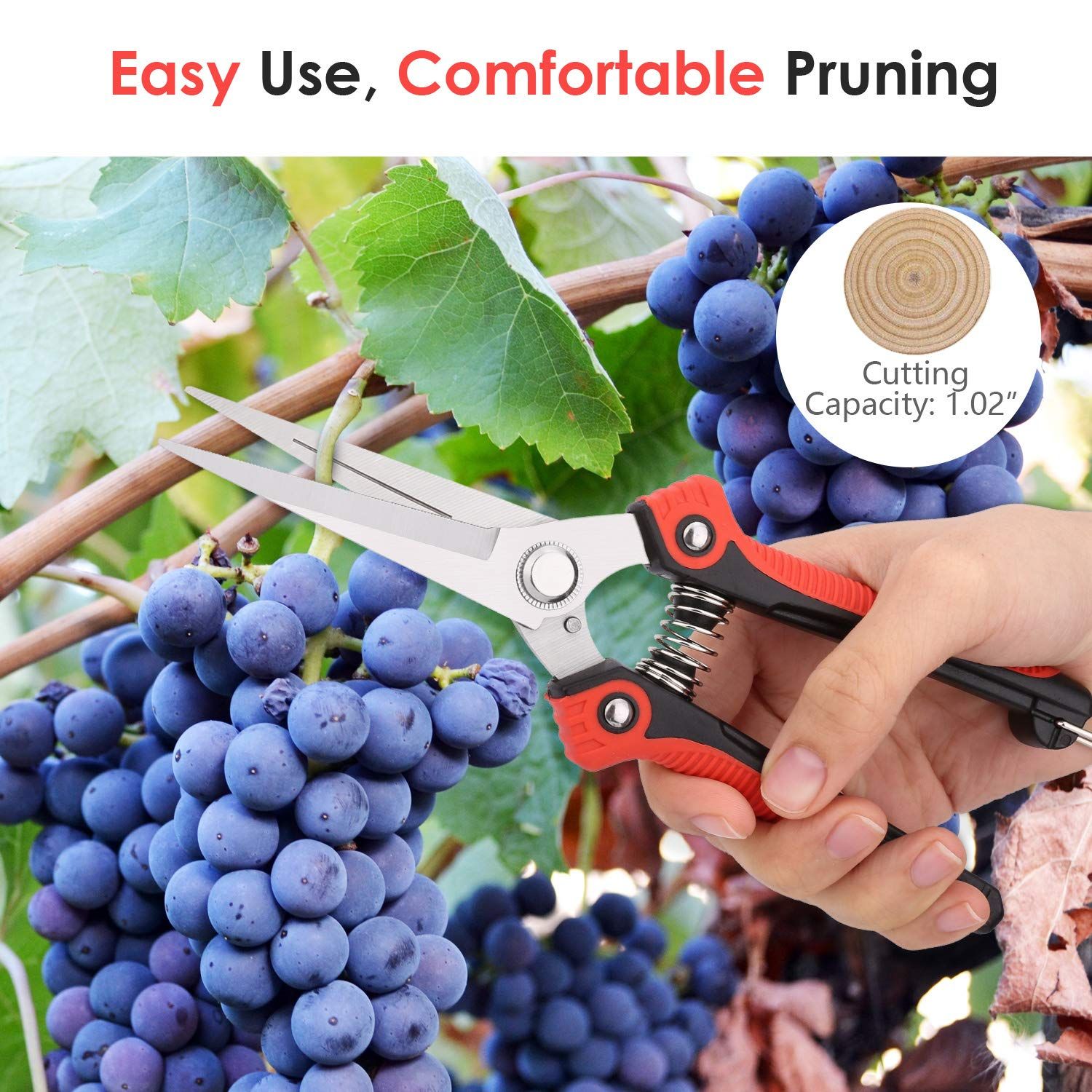 Steel Ultra Sharp Multi-purpose Hand Pruner Scissors for Garden Harvesting Fruits Vegetables Trimming Pklants Flowers, Black & Red โ image 2