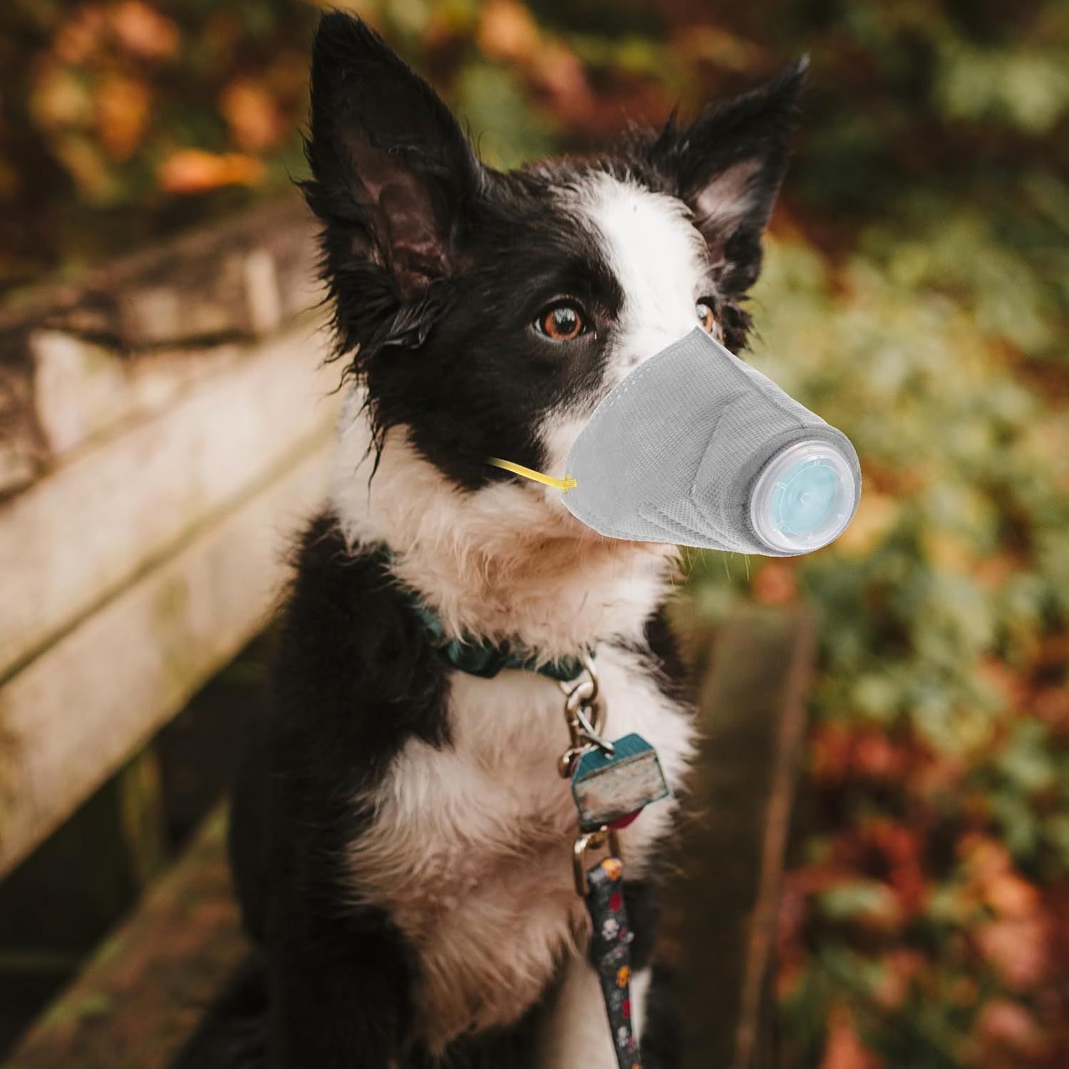 Adjustable Dog Respirator Muzzle, 3 PCS Breathable Dog Protective Muzzle for Dogs Filter Air Pollutants Anti Fog/Anti Dust/Anti-M โ image 4