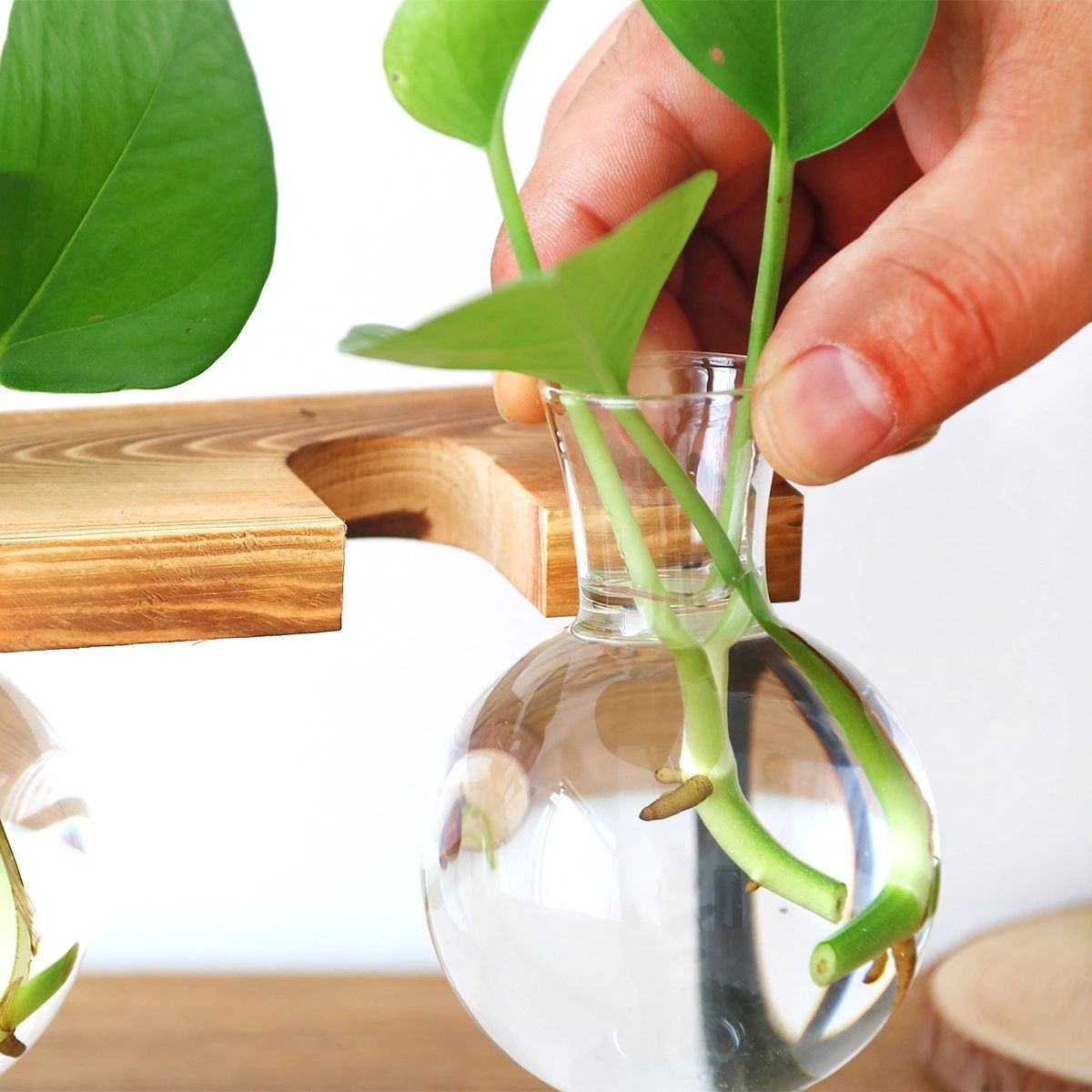 Plant Glass Vase, Tabletop Vase Retro High Borosilicate Glass Good Air Permeability Glass Planter for Office for Hydroponics Plant — image 3