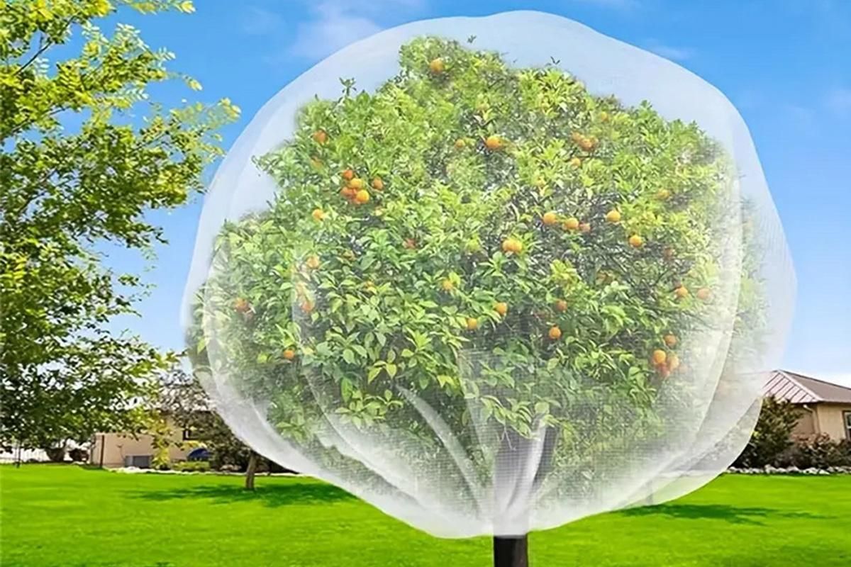 Bird Netting for Garden Protection Garden Netting Pest Barrier with Drawstring — image 5