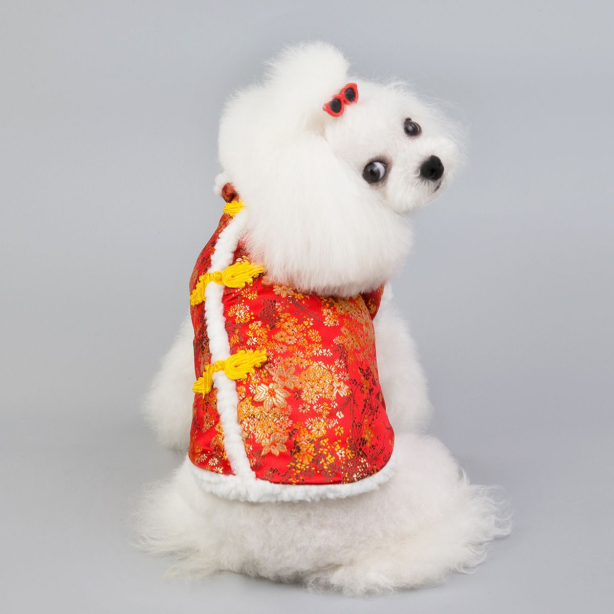 Dogbaby Pet Sweatshirt Cotton Casual Winter Blue — image 6