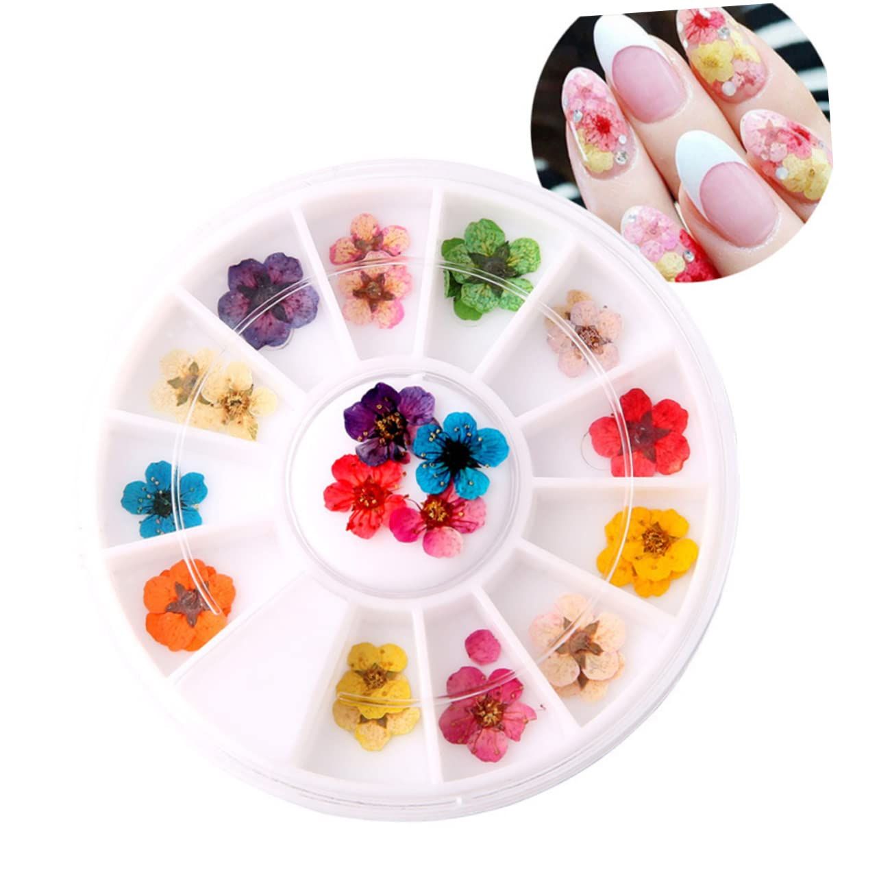 Flower Decorations 1 Box Accessories Art Plum Decals Petals Dried Supplies Manicure Nail Tips of for Sticker