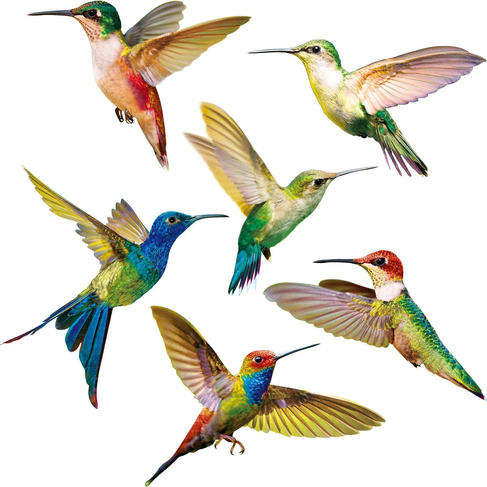 Hummingbird Window Clings Anti-Collision Window Clings Decals to Prevent Bird Strikes on Window Glass Hummingbird Stickers