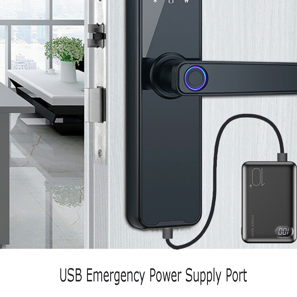 Tuya Home WIFI Smart Door Lock Biometric Fingerprint Smart Card Password Key USB — image 2