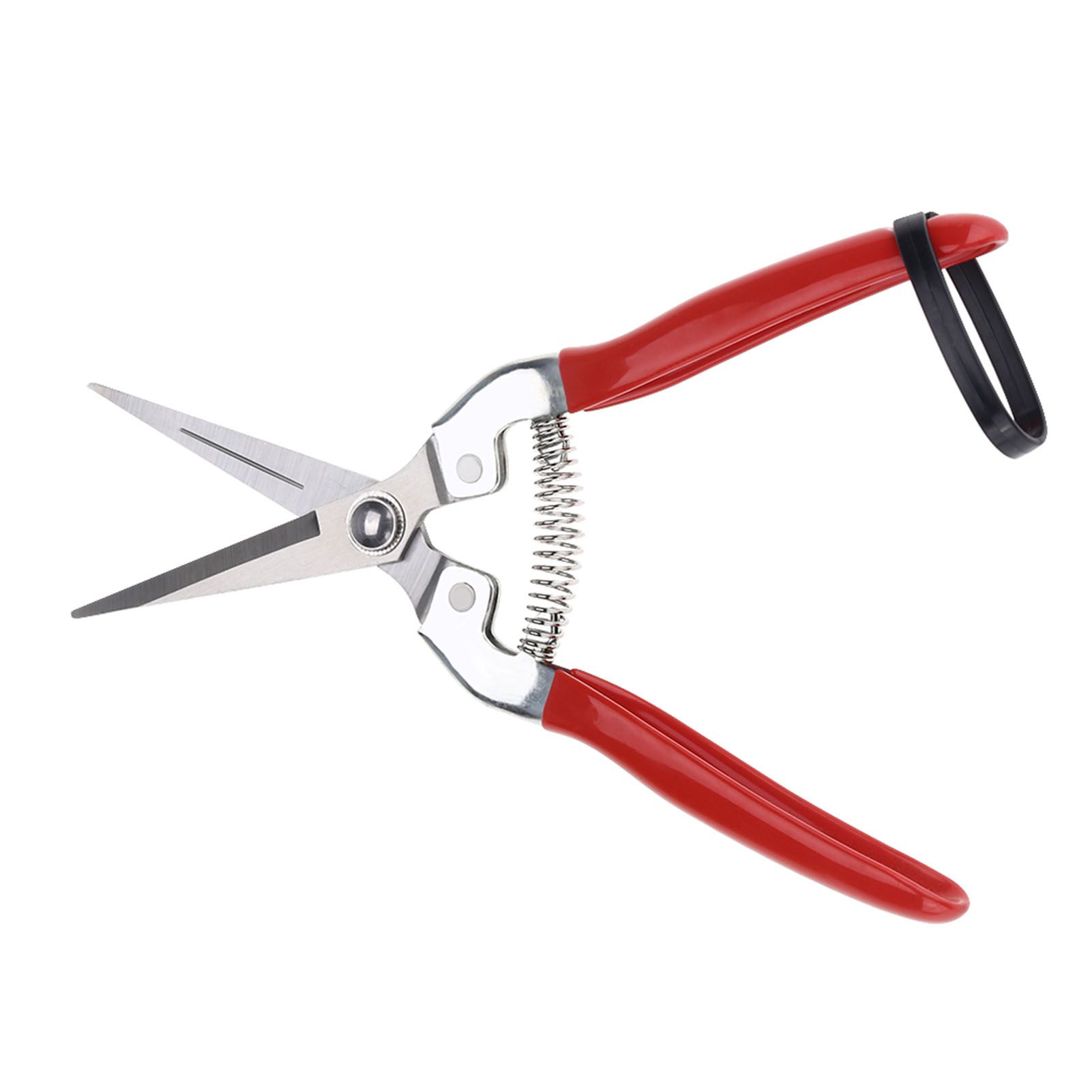 1Pc Sturdy Fruit Tree Bonsai Gardening Pruning Shear Garden Scissors Pruner Tool Straight Blade โ image 2