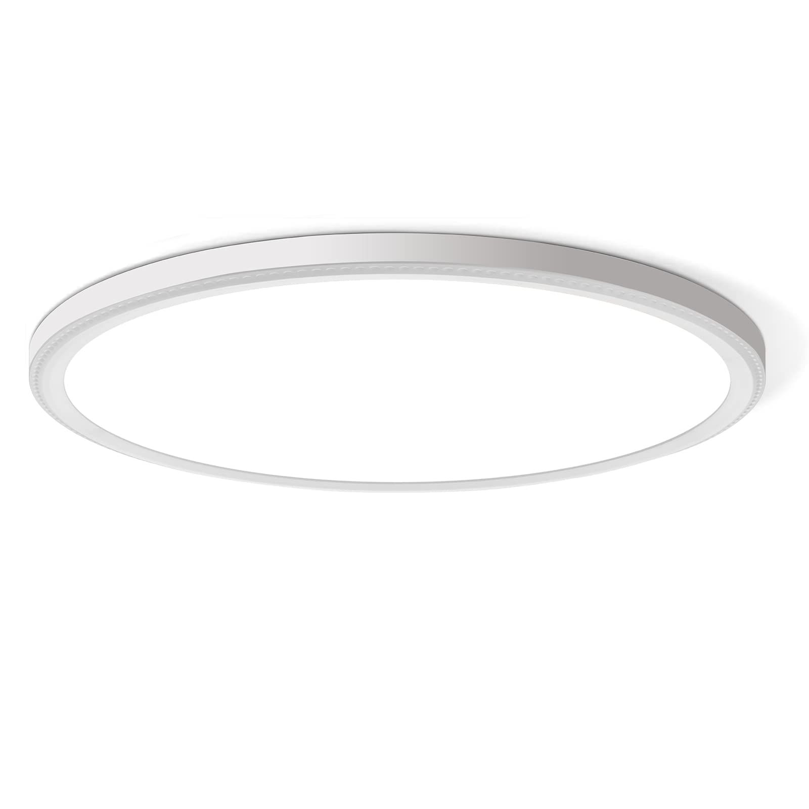 Flush Mount Ceiling Light