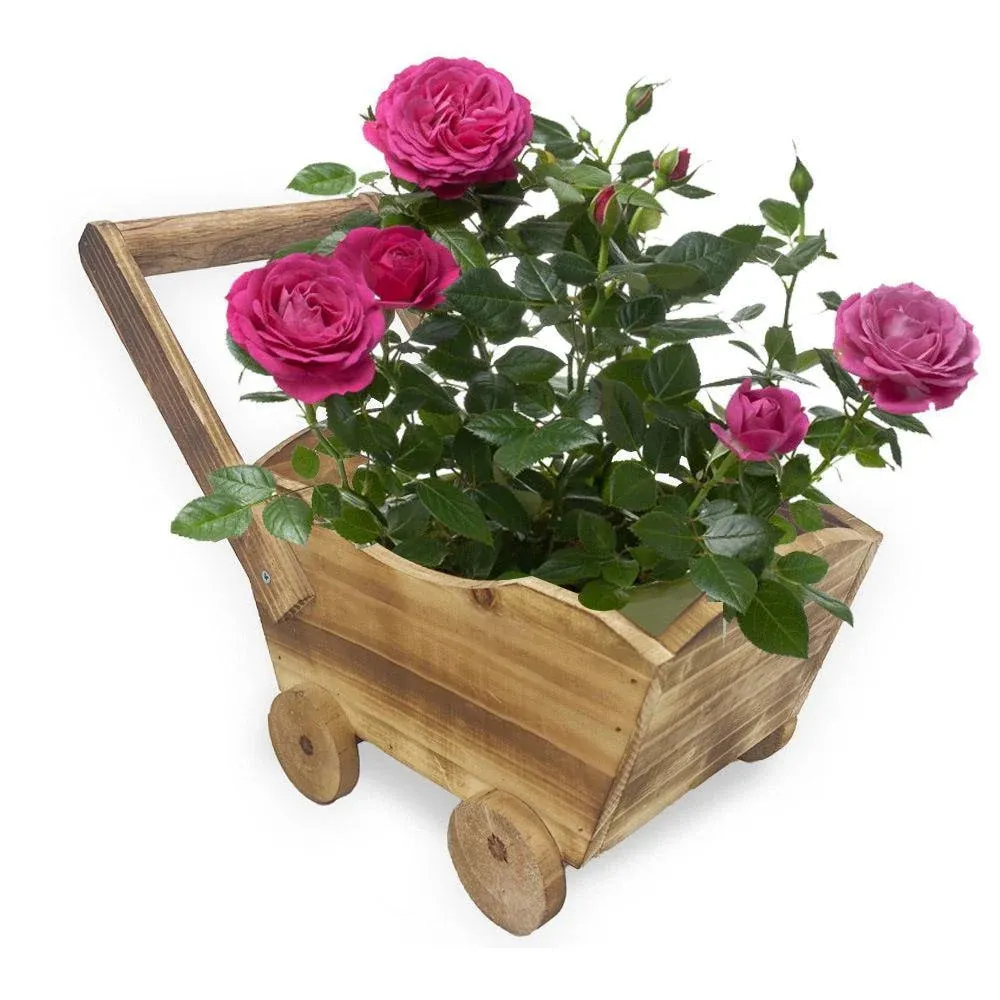 Cartoon Flower Pot Wooden Pot for Plants Cute Car Shape Decorative Planter Pot — image 2