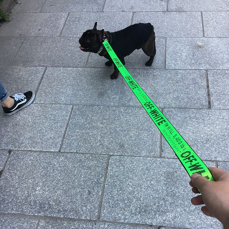 Card Pet Nylon Extendable Dog Leash 150cm Yellow — image 4