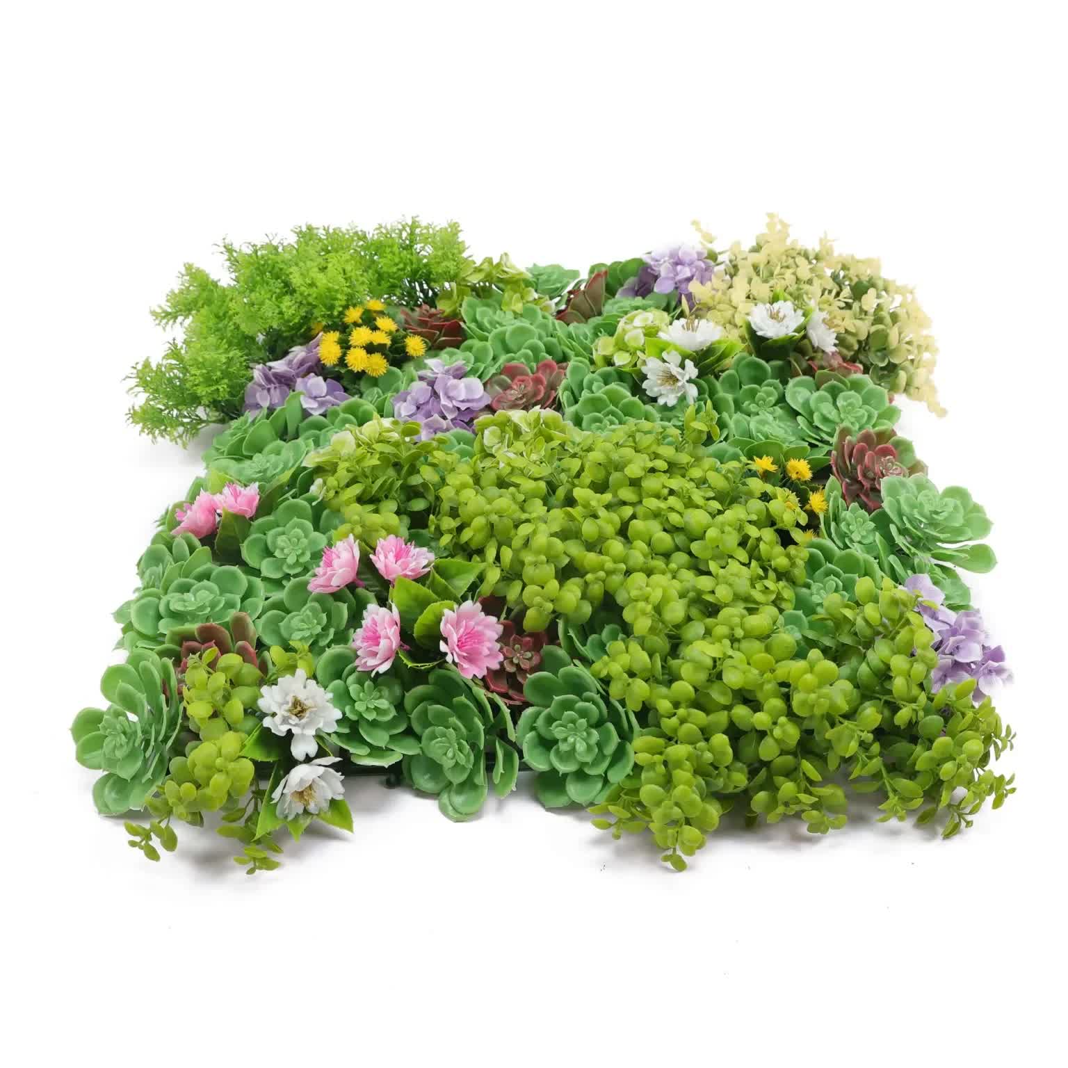 Artificial Dense Succulent Green Wall / Vertical Garden Panel 50cm x 50cm UV Resistant โ image 4