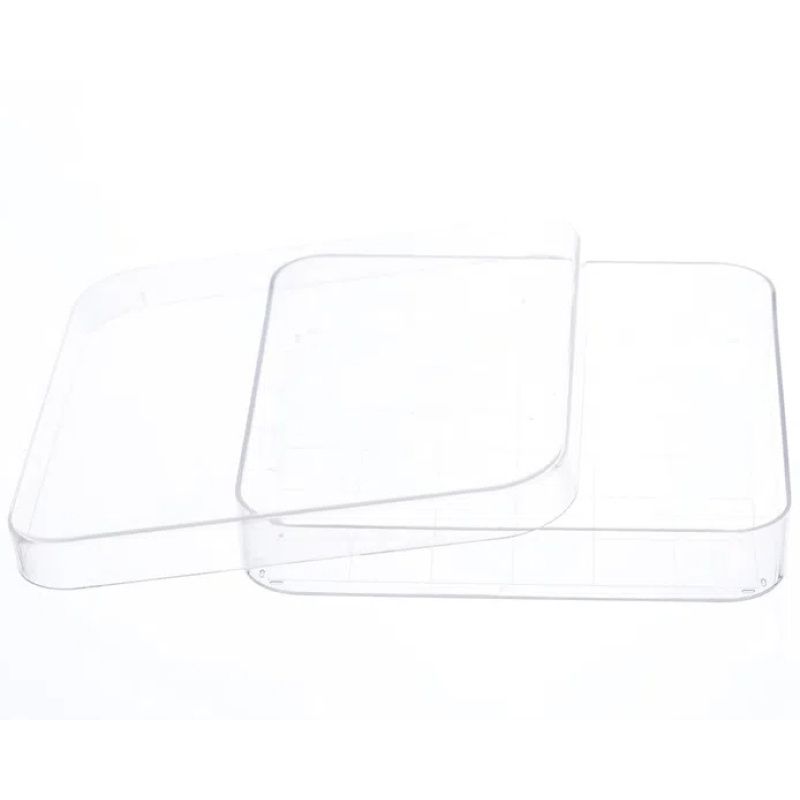10pcs transparent Rectangular Plastic Petri Dish 100mmx100mm Pipettes for Culturing Cells and Other Scientific
