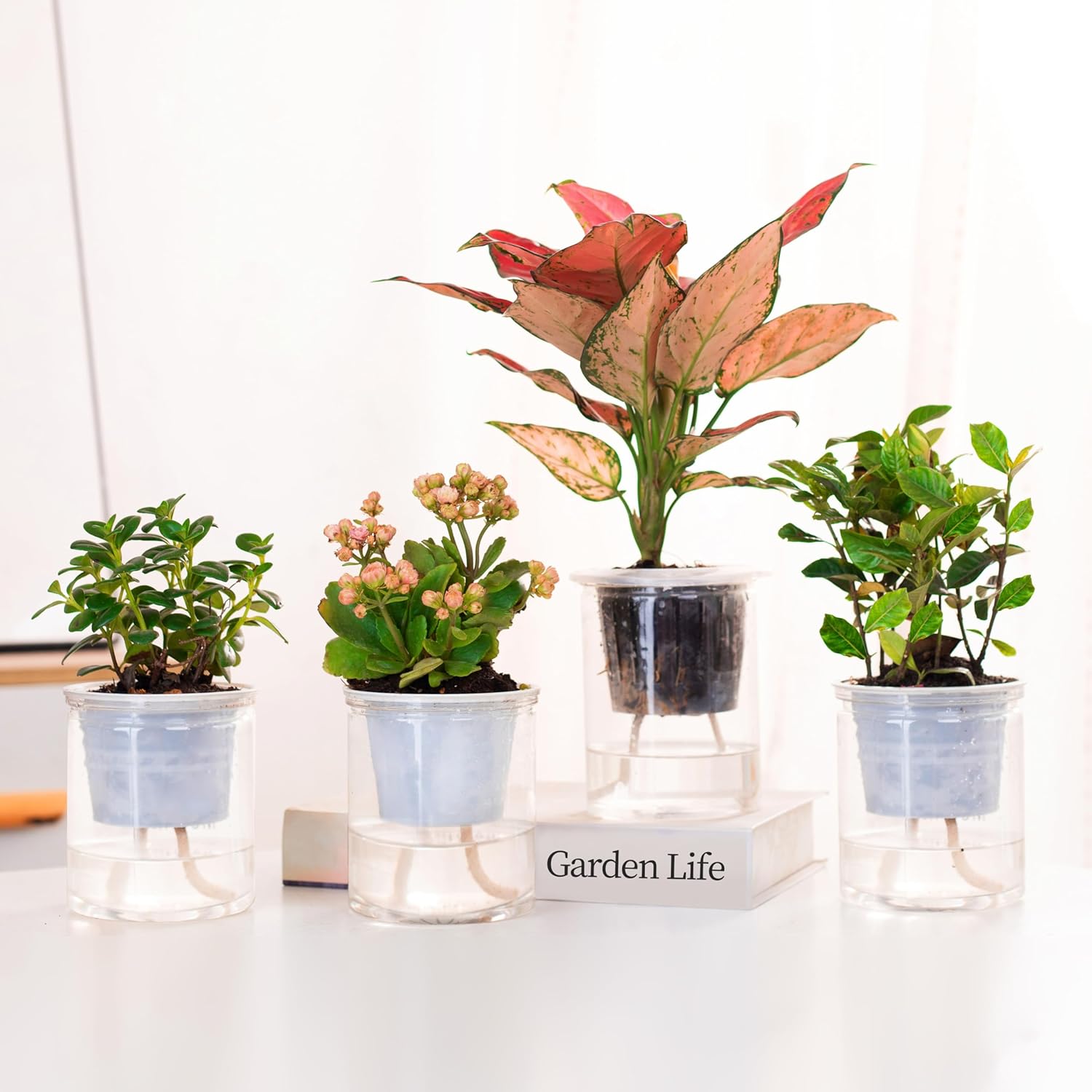 200 feet 1/4 inch Self Watering Capillary Wick Cord Vacation Plant Sitter DIY Hydroponic Wicking Rope Seeds Start Planter Pot Automatic Potted Flower Passive — image 4