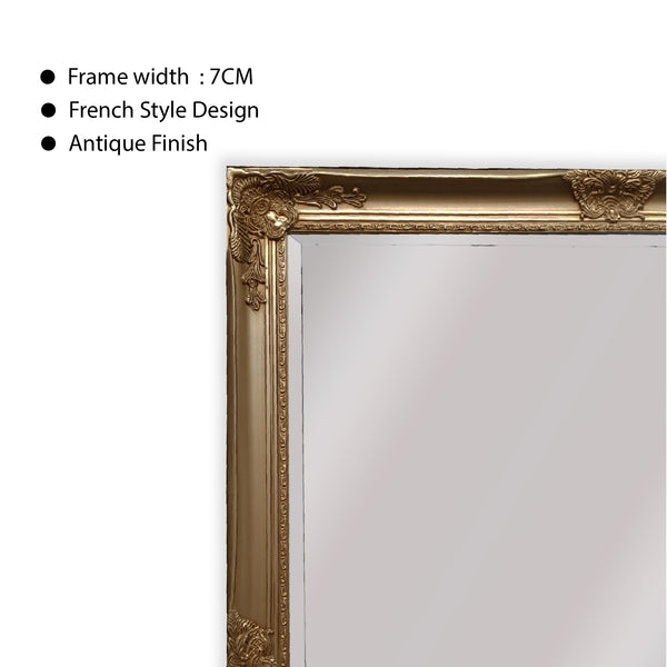 French Provincial Ornate Mirror - Champagne - Medium 70cm x 170cm โ image 5