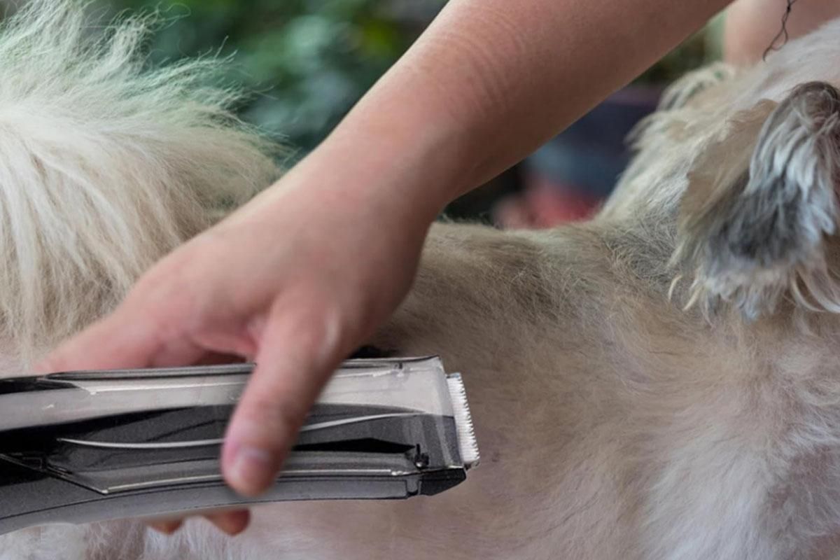 Pet Vacuum Hair Clipper Dog Shaver Clipper 3 Speed USB Electric Pet Razor Low Noise Pet Trimmer Rechargeable Cordless Pet Shaver — image 3
