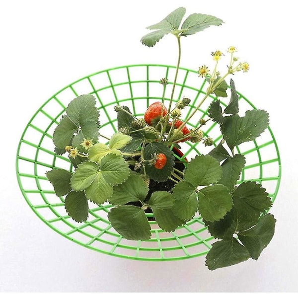 10 pcs Strawberry Plant Support Cages Climbing Rack Strawberry Rack Frame Holder Balcony Planting Rack Fruit Support Garden — image 4