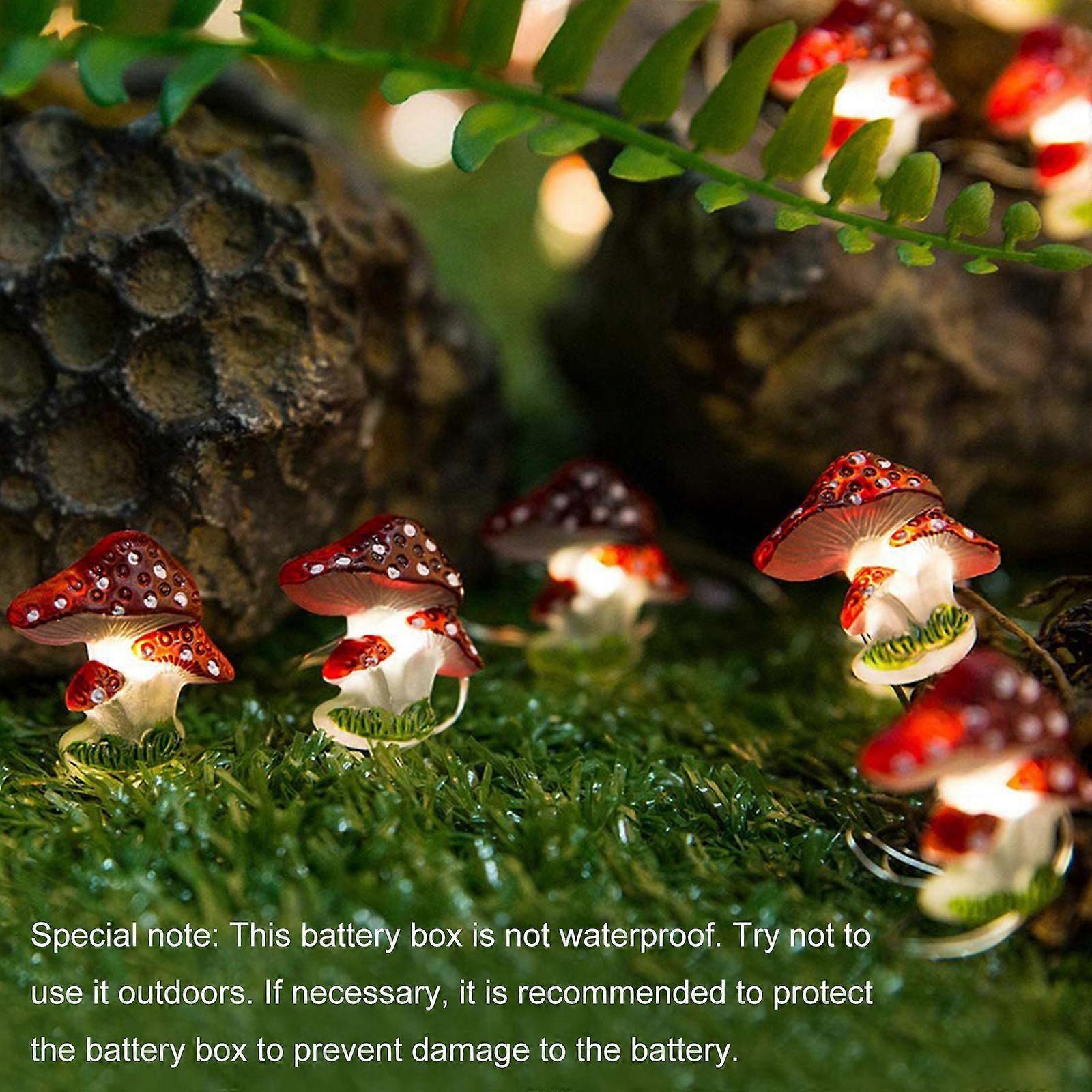Fairy Lights 2M 20 LEDs, USB Rainproof LED String Lights for Christmas — image 4