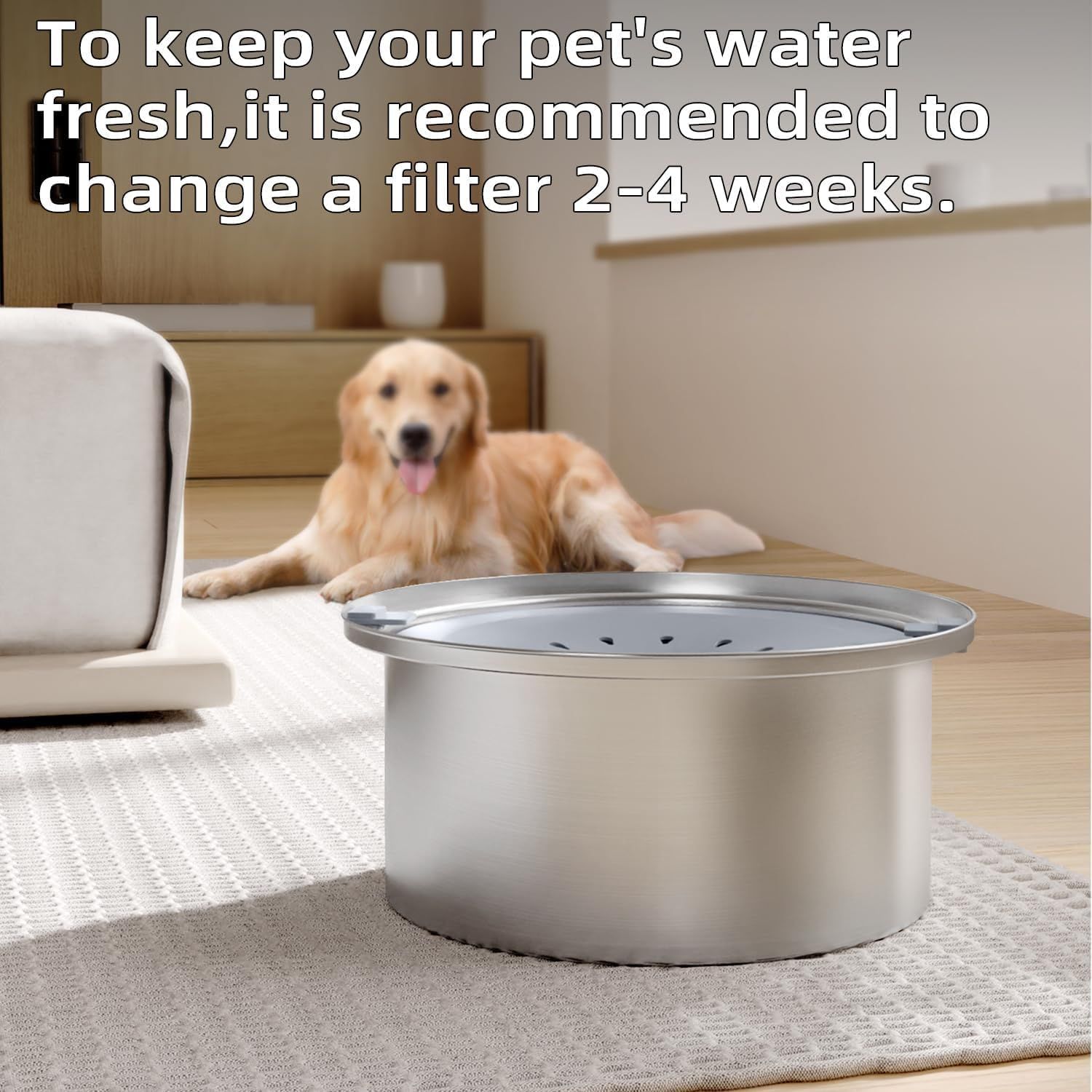 Stainless Steel Floating Pet Water Bowl - 2.5L Splash Proof Cat Dog Bowl with Filter - No Spill Anti-Wet Chin Drinking Bowl for Pets — image 5