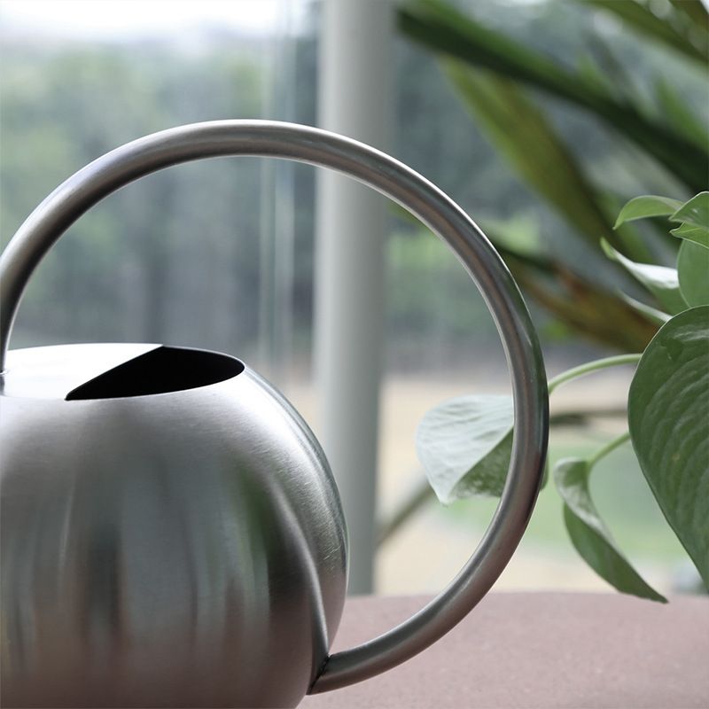 Long Nozzle Watering Can 1000ml Stainless Steel Metal European Plant Pot Sprinkler with Handle for Garden Household Tool (Silver) — image 3
