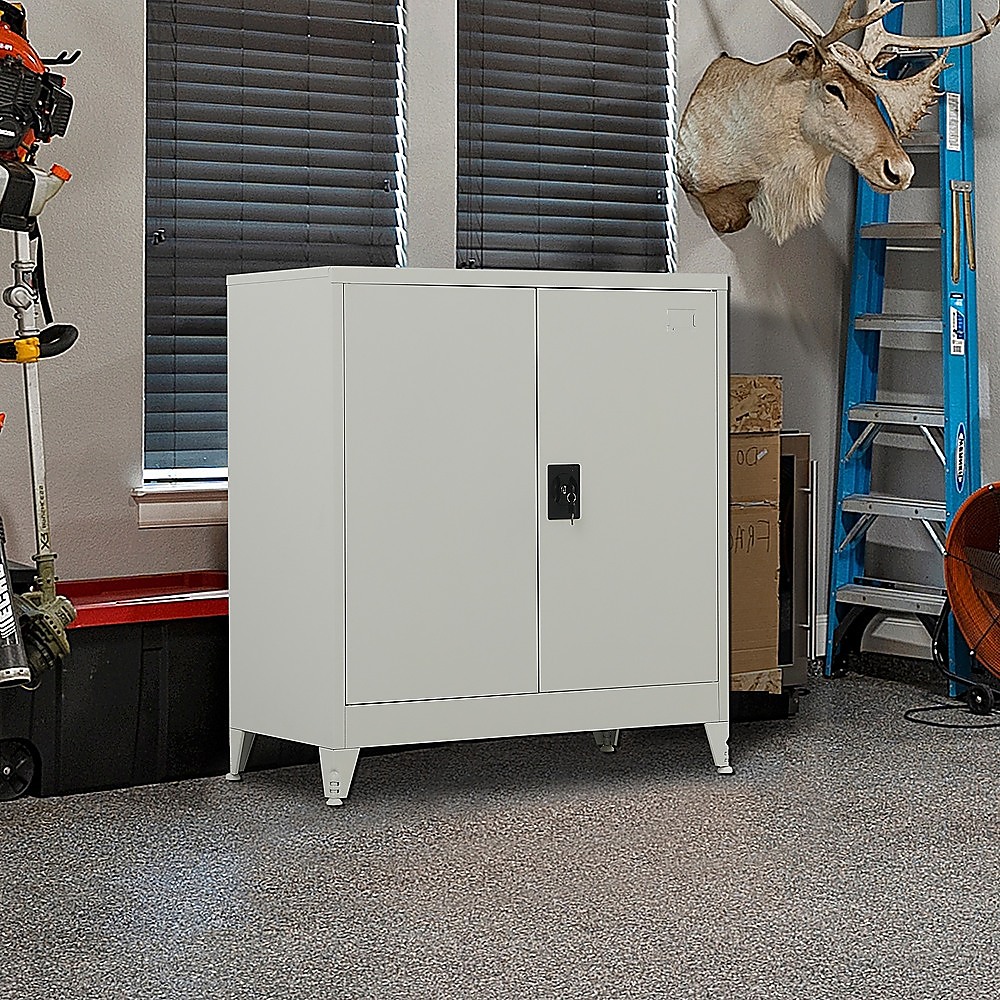Two-Door Metal Short Cabinet Shelf Storage for Home Office Gym โ image 2