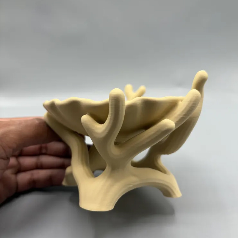 3D printed organic coral and seashell jewelry and key storage box, flesh-colored — image 2