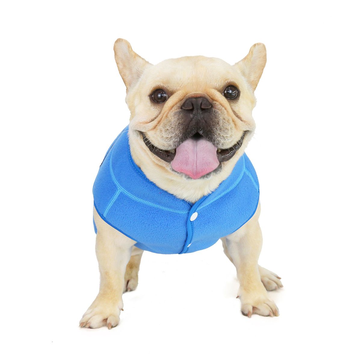 Dogbaby Bulldog Fleece Jacket Winter Polyester Powder XL — image 3