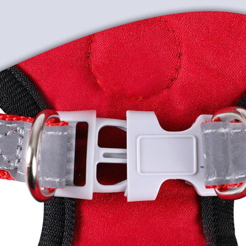 Dog Harness Cat Lead Puppy Leash Vest Mesh Breathe Adjustable Braces Small Pet Orange - XXXS — image 6