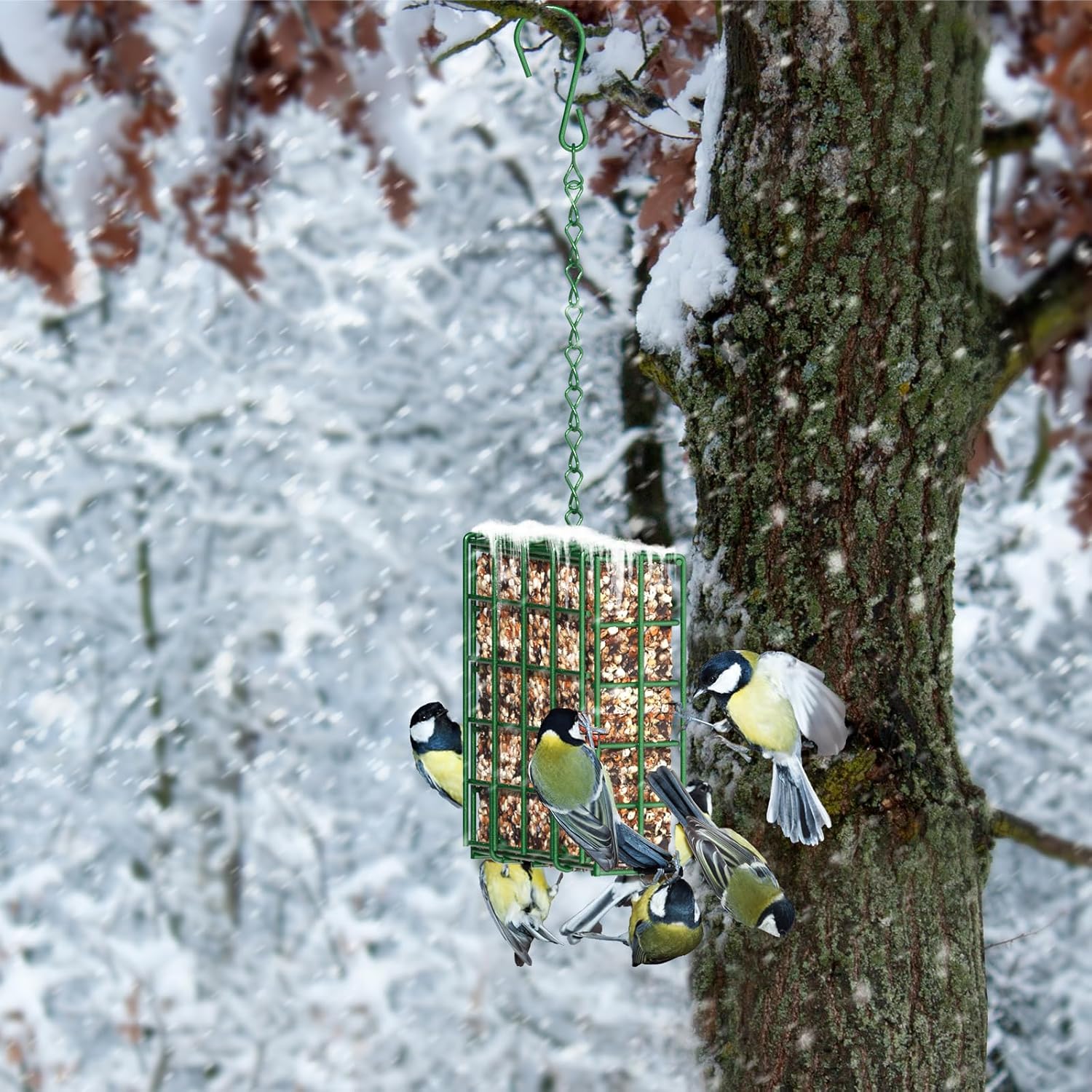 Hanging Bird Feeder, Suet Feeder Hanging Bird Feeder Hanging for Garden Yard Outside Hanging Bird Feeder Tray — image 4