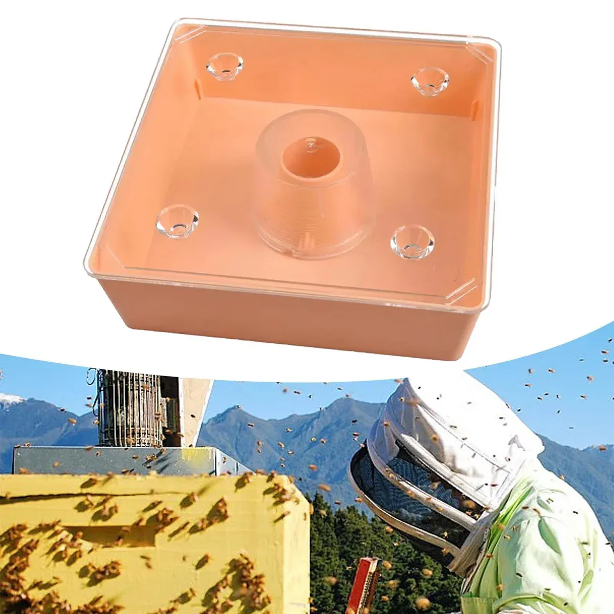 2PCS Bee Feeder Square Water Feeder Beehive Drinking Tool Plastic Beekeeping — image 6