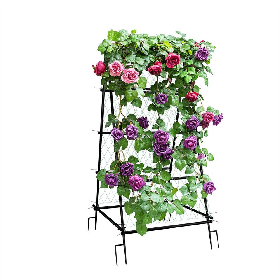 FIN Metal Garden Trellis Arch Climbing Plants Grow Support Frame with Ground Spikes