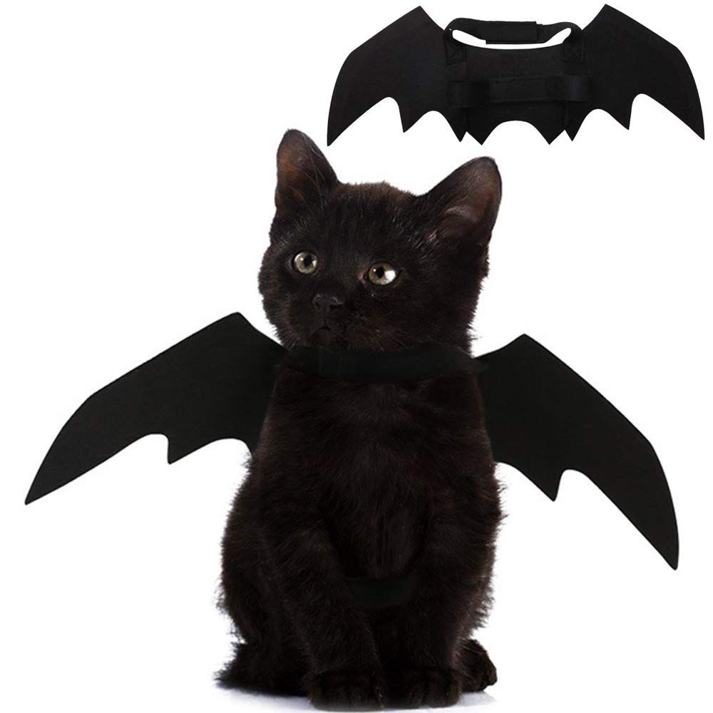 Pet Cat Bat Wings for Halloween Party Decoration, Puppy Collar Leads Cosplay Bat Costume, Cute Puppy Cat Dress M