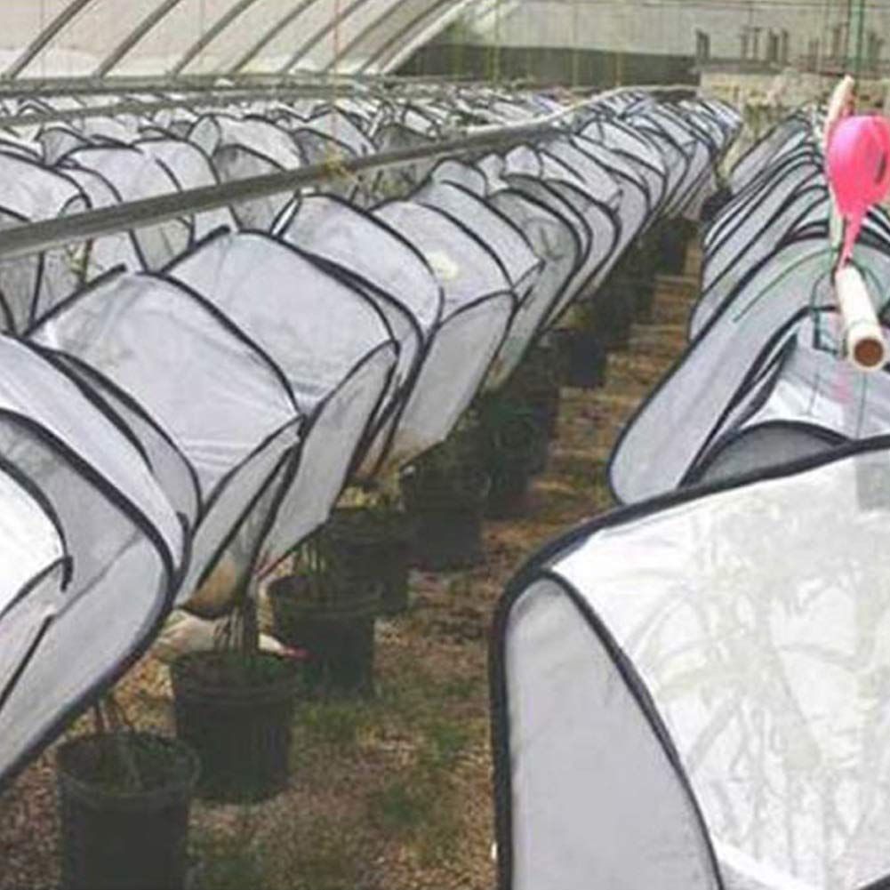 Butterfly Habitat,Outdoor Foldable Butterfly Cage Habitat Fine Mesh Stops - Mesh Panels for Air - Clear Window Panel for Easy Viewing โ image 5
