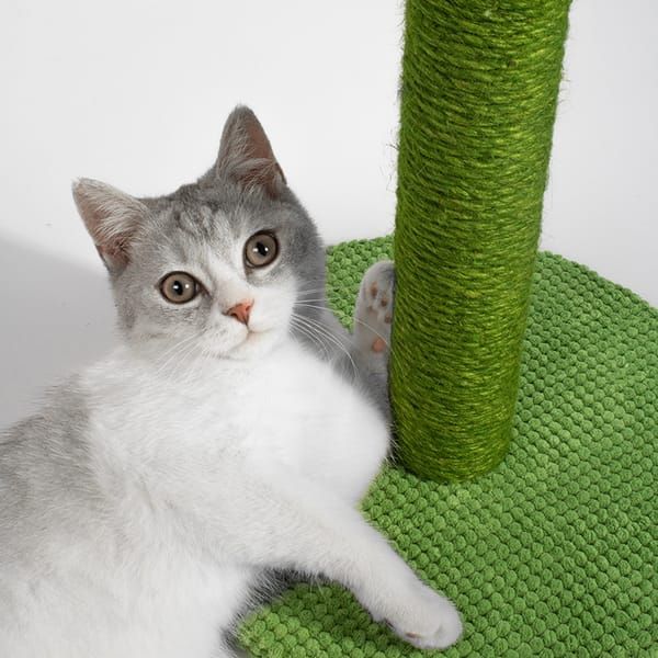 Green Black Cat Scratching Post Cactus Cat Toy Cat Furniture Cat Scratcher Cat Claw Care — image 3