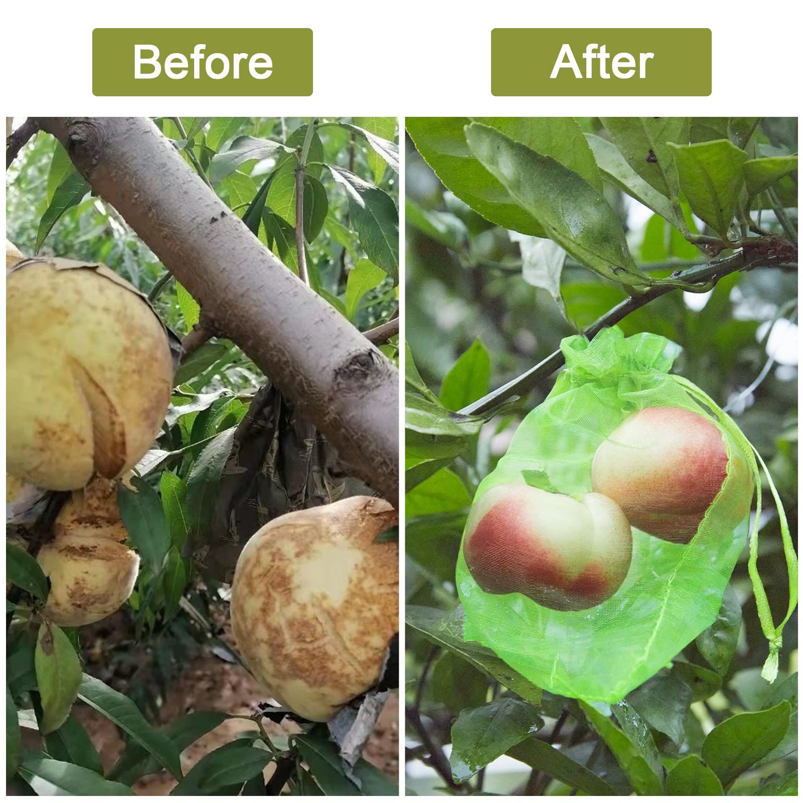 50pcs Green Fruit Protection Bags Fruit Cover Mesh Bag with Drawstring, Protecting Vegetables and Fruits from Birds and Pests โ image 3
