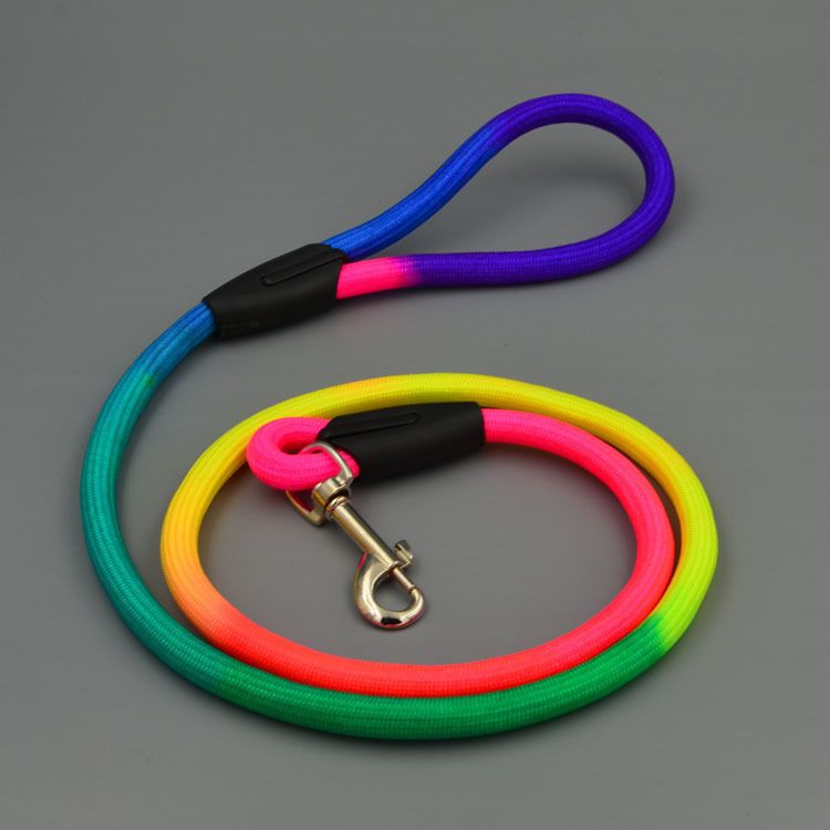 Pet Nylon Leash 120cm for Small Dogs Color 1.0cm thick, 120cm long — image 2