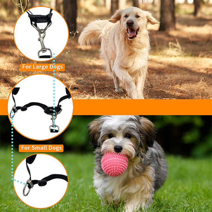 Black Reflective Pet Waist Bag with Hands-Free Leash for Night Safety - Adjustable Waist Pack with Detachable Pouches — image 4