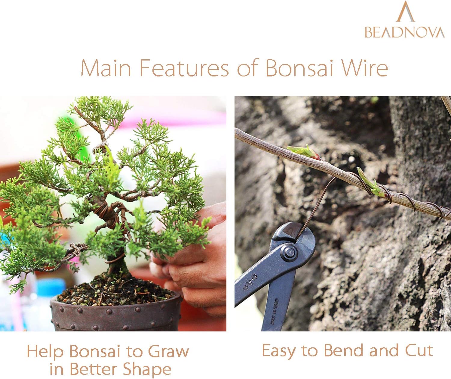 Plant Training Wire 98 Feet Copper Bonsai Tree Aluminium Plant Wire for Training Indoor and Outdoor (Copper, 2mm, 30m) โ image 4