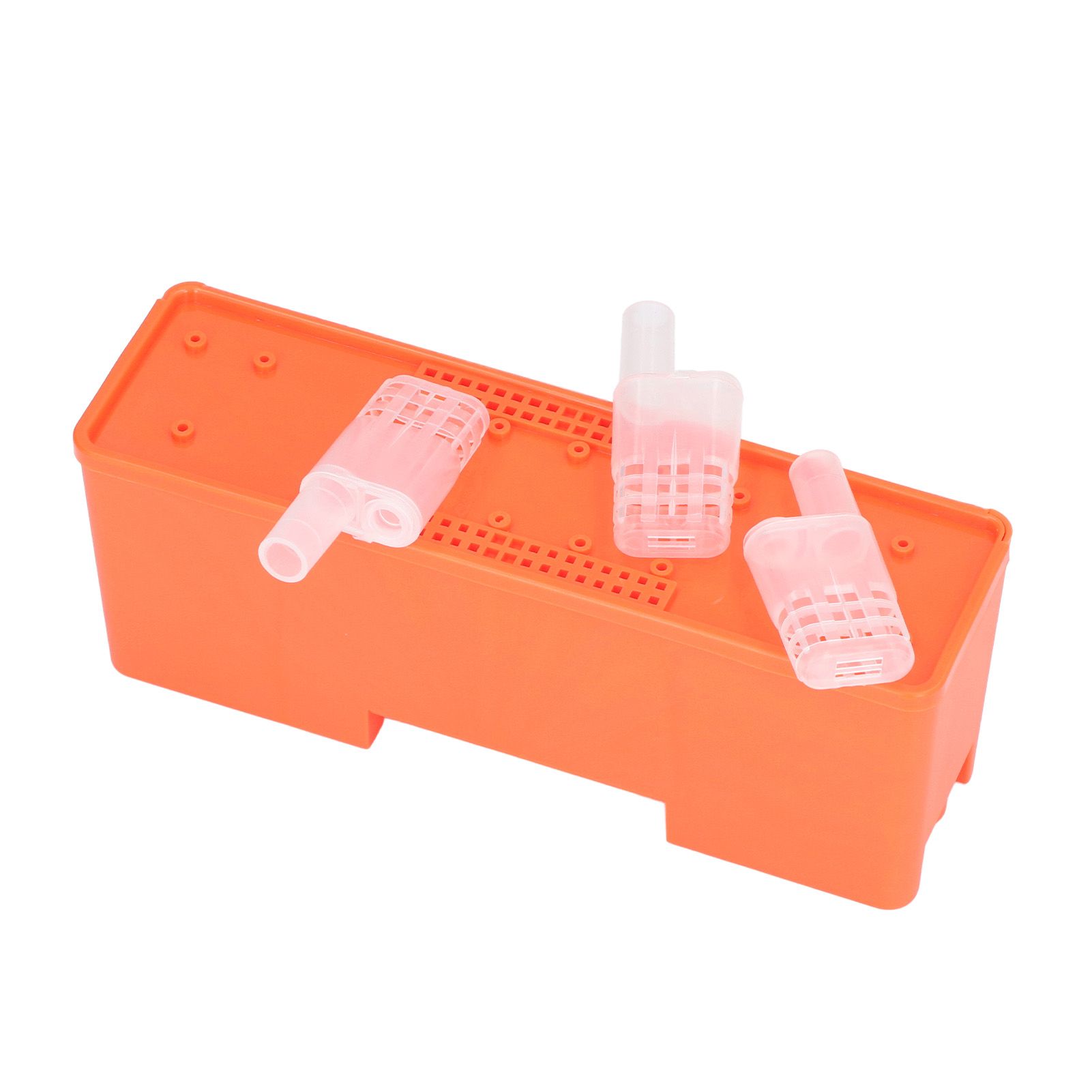 King Cage Transport Box with 20Pcs Queen Bee Rearing Cages Transparent King Cage Beekeeping Tools — image 4
