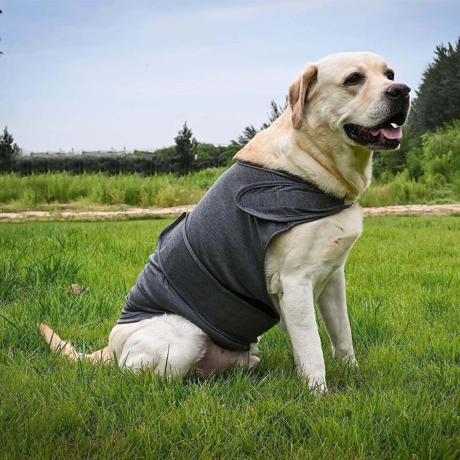 Dog Jacket, Skin-Friendly Dog Calming Vest - Dog Shirt for Thunder, Fireworks and Separation - Keep Pet Calm Without Medicine & Training, Anti Anxiety Vest for — image 6