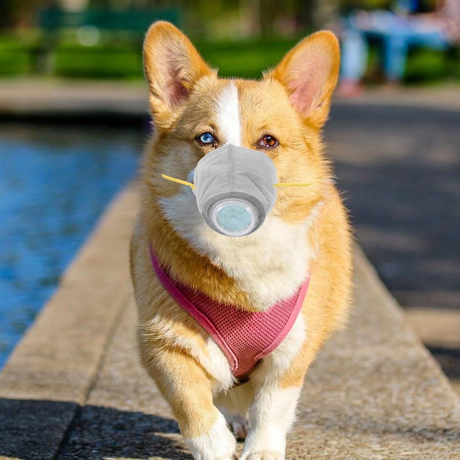 Adjustable Dog Respirator Muzzle, 3 PCS Breathable Dog Protective Muzzle for Dogs Filter Air Pollutants Anti Fog/Anti Dust/Anti-M โ image 3