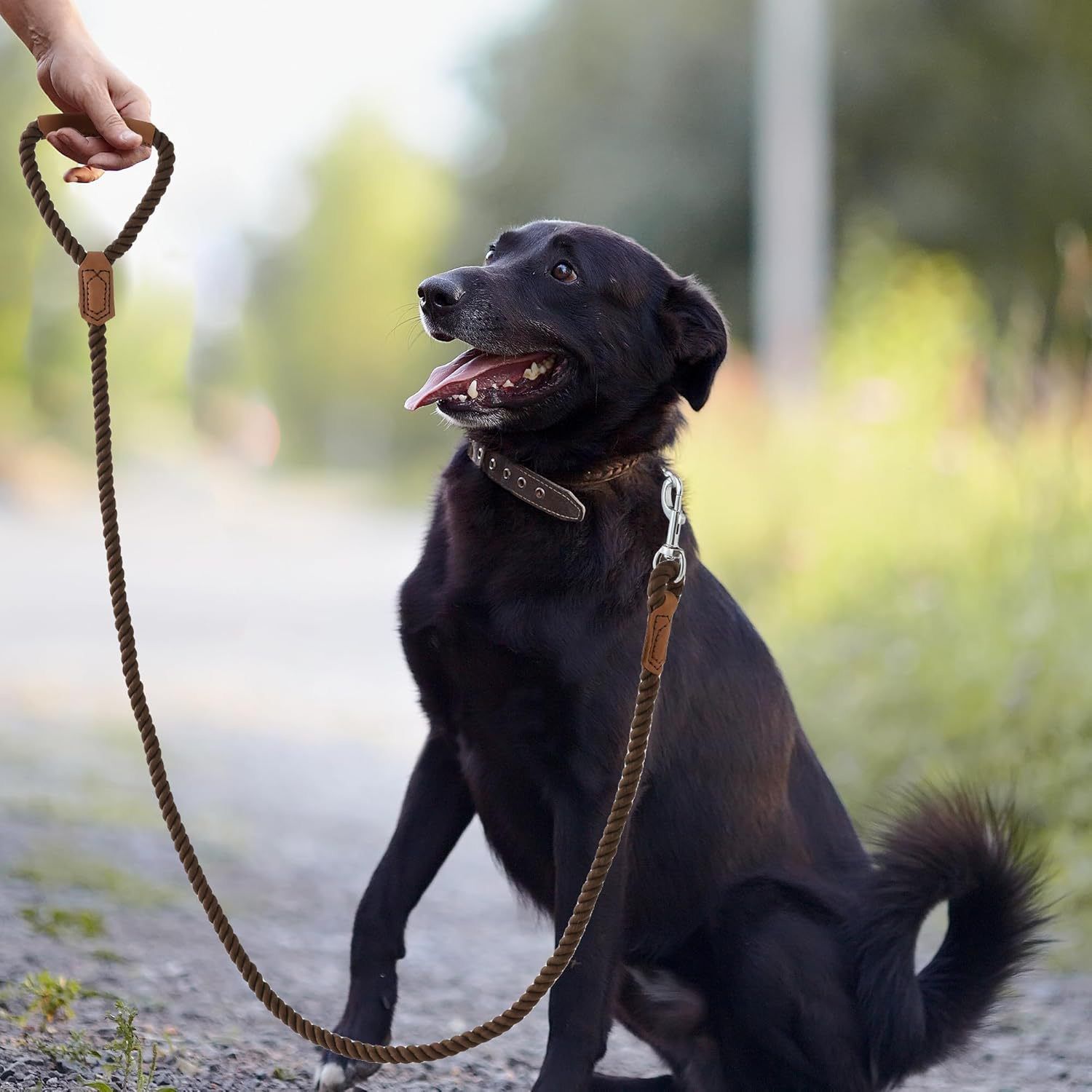 Classic Braided Dog Leash with Genuine Leather Handle and Heavy Duty Metal Clasp for Outdoor Walking, Training, and Control of Medium to Large Breeds (153cm — image 3