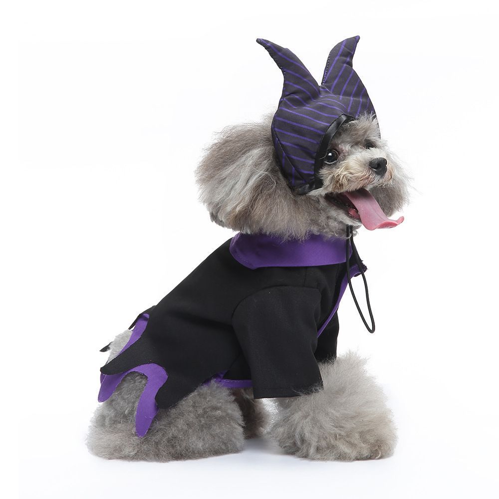 M Size Quartz Shadow Pet Costume, Fancy Dress for Halloween & Christmas, Lightweight for 3.5-4.5 kg Dogs and Cats