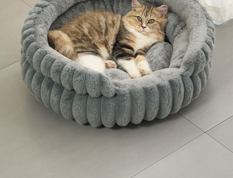 Washable Notch Style Round Pet Bed, Plush Anti-Moisture Pet Sleeping Bed, Cream White, Size M, 19.69x19.69x5.91in, Open Notch Design For Pets To Step โ image 3