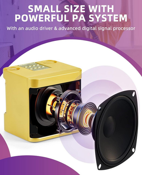 Gold Karaoke Machine with 2 Wireless Microphones Bluetooth-Compatible 5.0 for Parties — image 6
