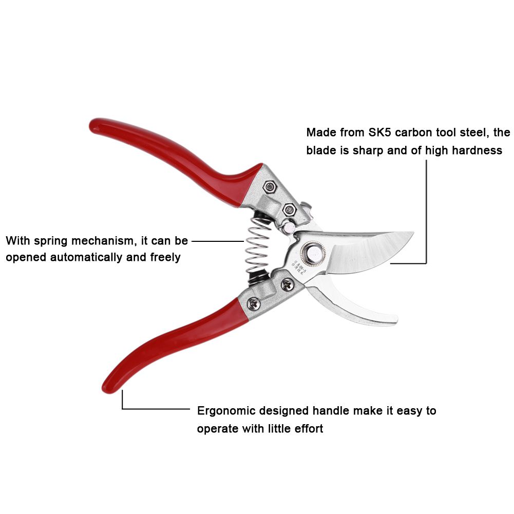 1Pc 8inch Fruit Tree Bonsai Gardening Pruning Shears Pruners Scissors Grafting Cutting Tools — image 4